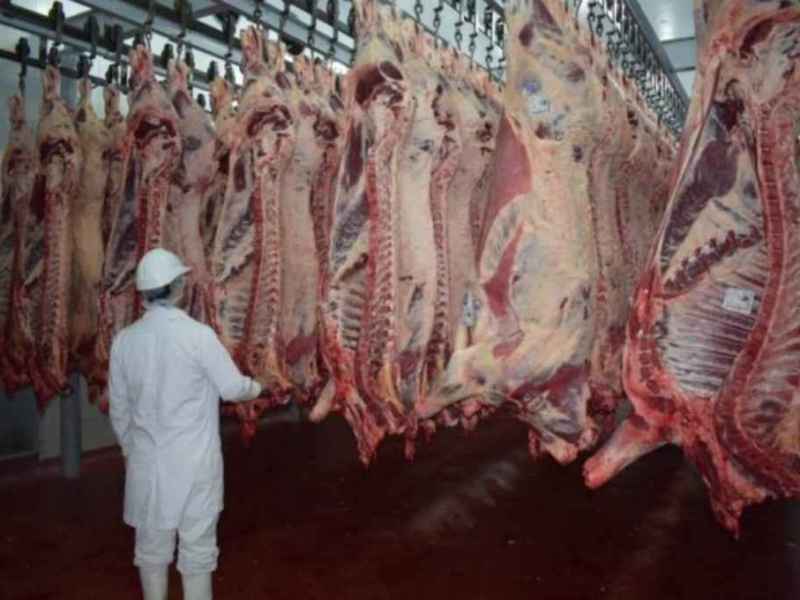 Fuerte pedido a Perotti de la cadena de la carne