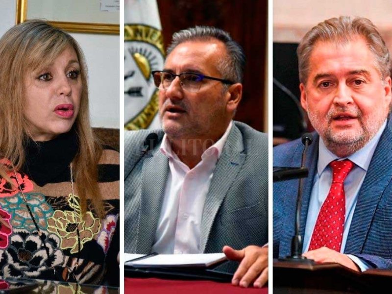Lewandowski y Sacnun para el Senado, Mirabella a Diputados