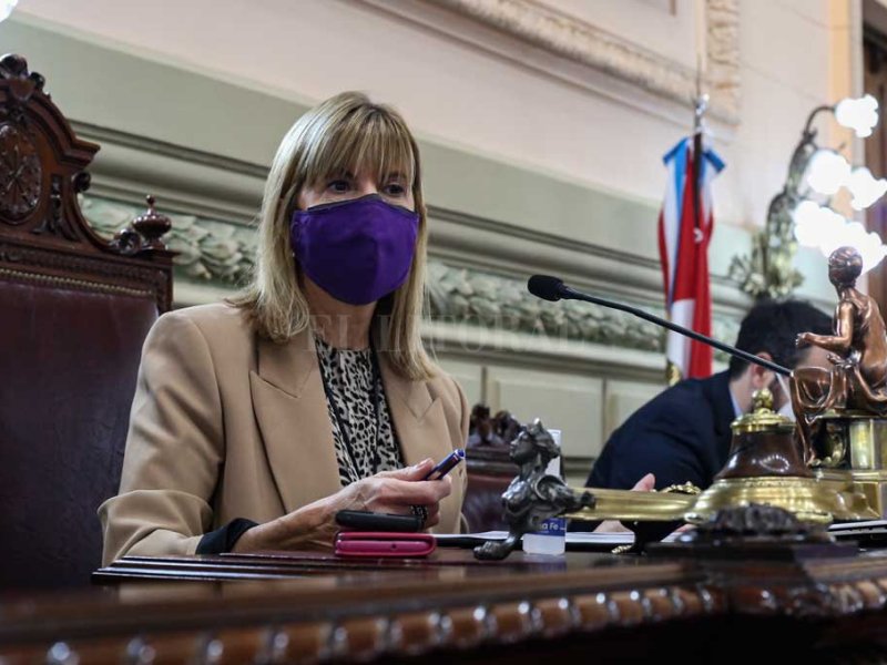 Rodenas pidió licencia por la campaña
