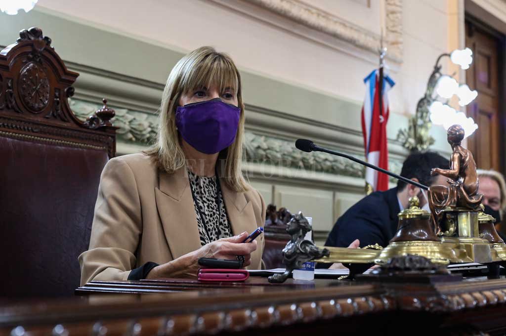 Rodenas pidió licencia por la campaña