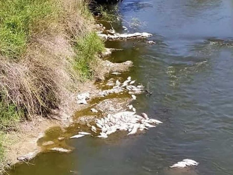 Buscan una solución a la contaminación del Arroyo Las Prusianas en Grütly