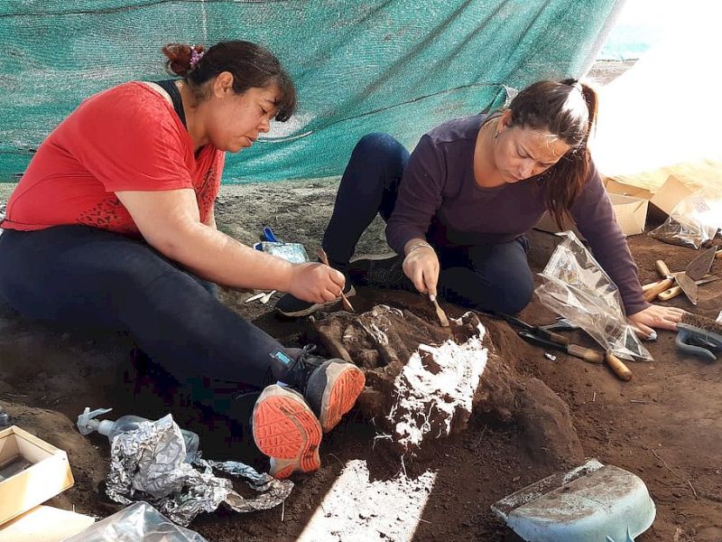 Importante hallazgo arqueológico en la ciudad de Santo Tomé