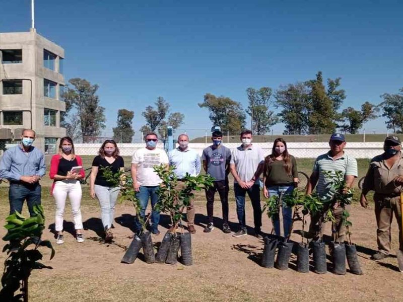 Rafaela piensa en verde: se plantaron 100 árboles en distintos clubes de la ciudad