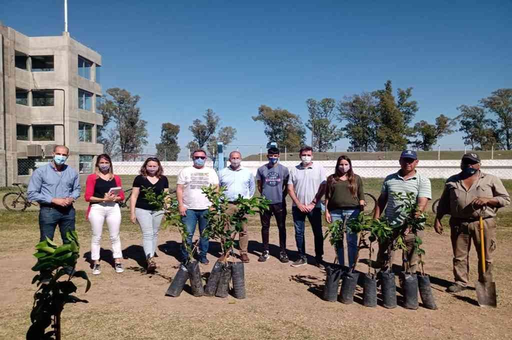 Rafaela piensa en verde: se plantaron 100 árboles en distintos clubes de la ciudad