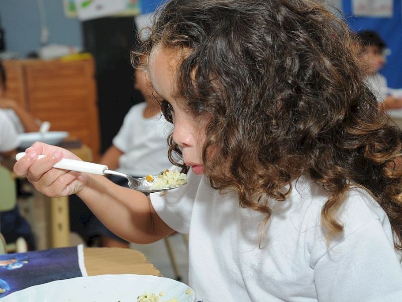 Planes de alimentación: El Estado debe garantizar cantidad y calidad nutricional