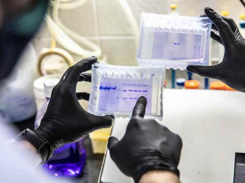 Científicos de la UNL avanzan en el desarrollo de una vacuna contra el Covid-19