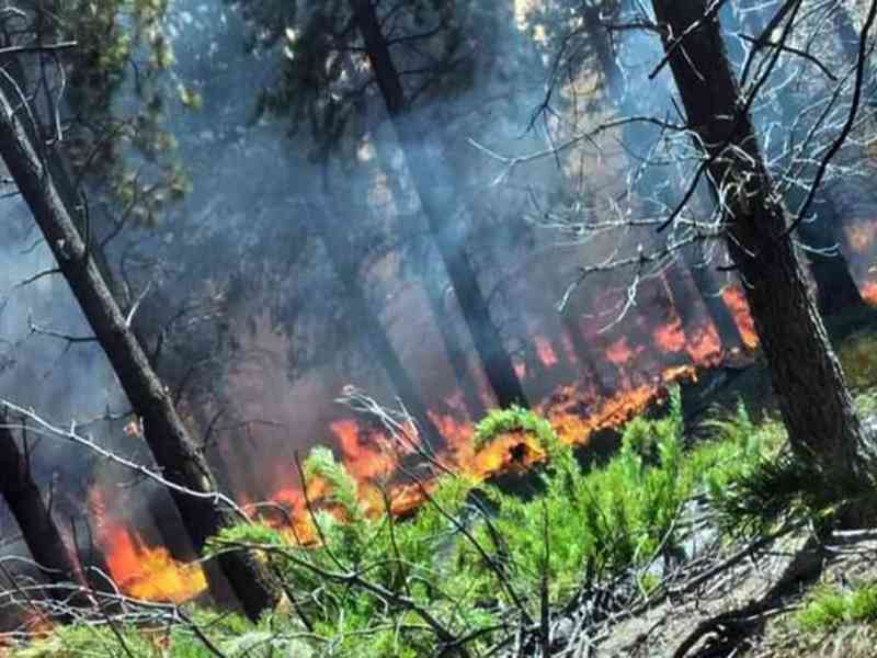 Declararon el estado de «emergencia ígnea» en todo el territorio argentino
