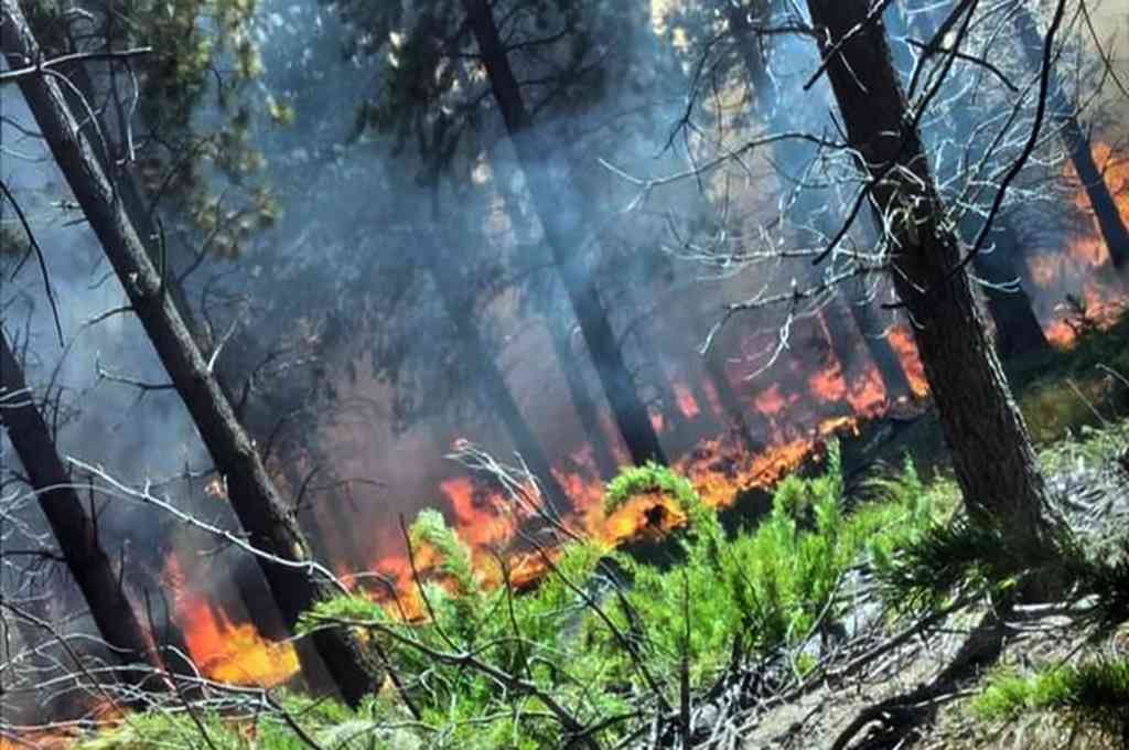 Declararon el estado de «emergencia ígnea» en todo el territorio argentino