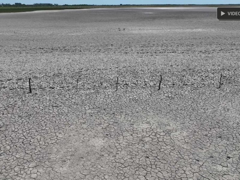 Los flamencos se quedaron sin laguna: también se secó Añapiré