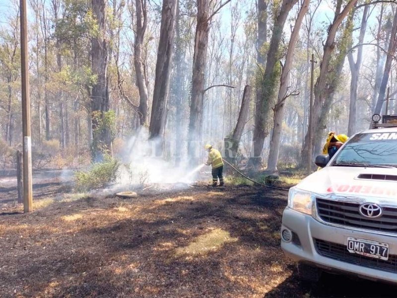 Refuerzan controles para evitar nuevos incendios intencionales en el bosque de Laguna Paiva