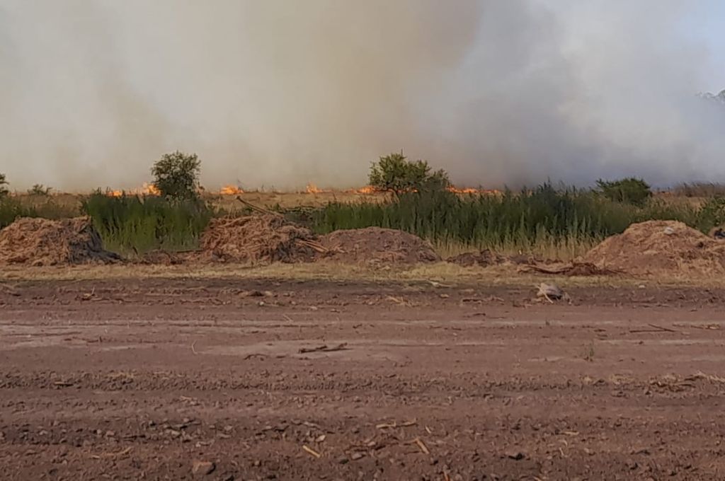 Hubo quemas «simultáneas» en Campo Andino, Cayastacito y Laguna Paiva