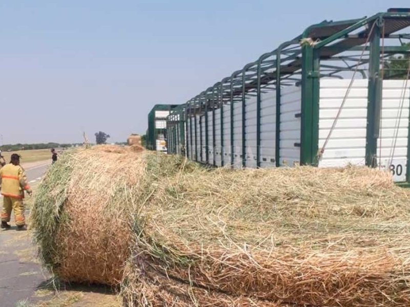 Tragedia en la Autovía 19: un rollo de pasturas mató a un hombre tras el vuelco de un camión