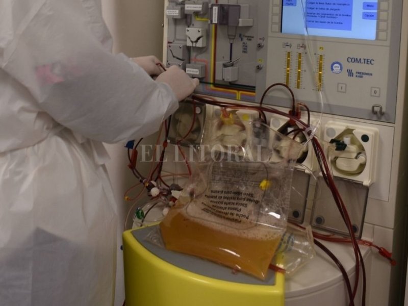 Covid: en pacientes seleccionados el uso de plasma tuvo resultados satisfactorios