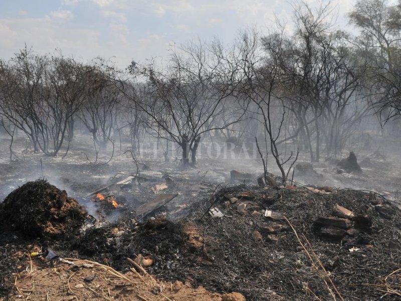 Crisis climática: durante el 2021 se quemaron 100 mil hectáreas en el Pre Delta