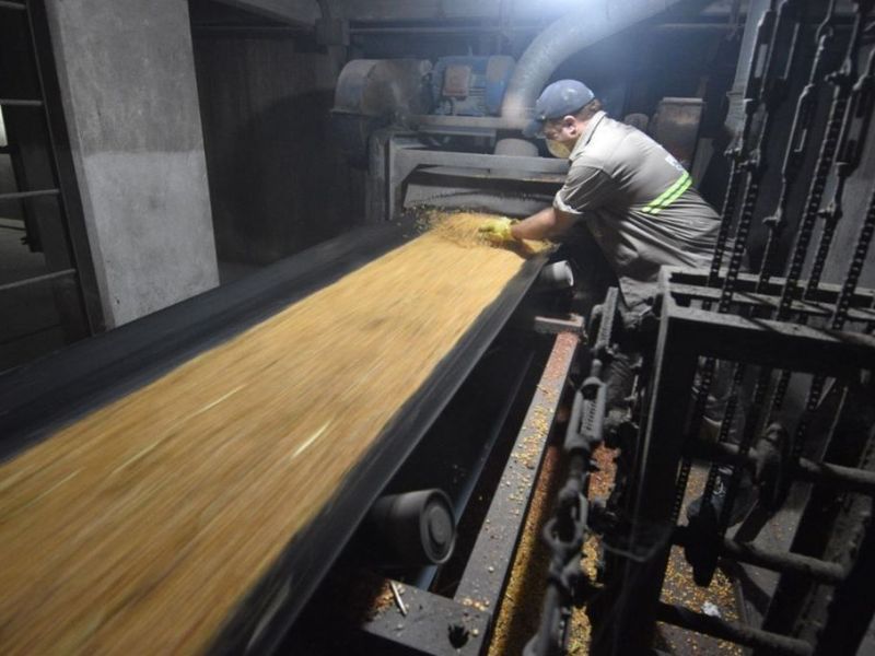 Cadenas agroindustriales tributaron 23,5% de lo que recaudó la Nación