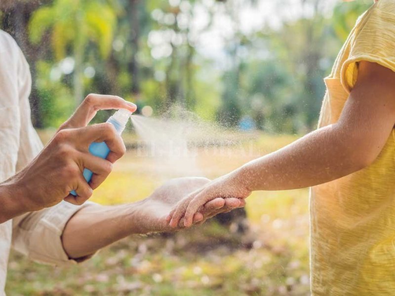 Por qué el mosquito fue el gran ausente en este atípico verano santafesino