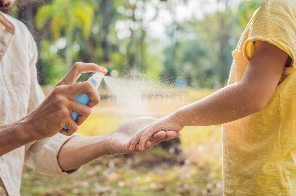 Por qué el mosquito fue el gran ausente en este atípico verano santafesino