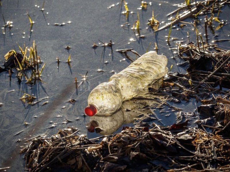 Del Río Paraná a Europa: la contaminación plástica no entiende de fronteras políticas