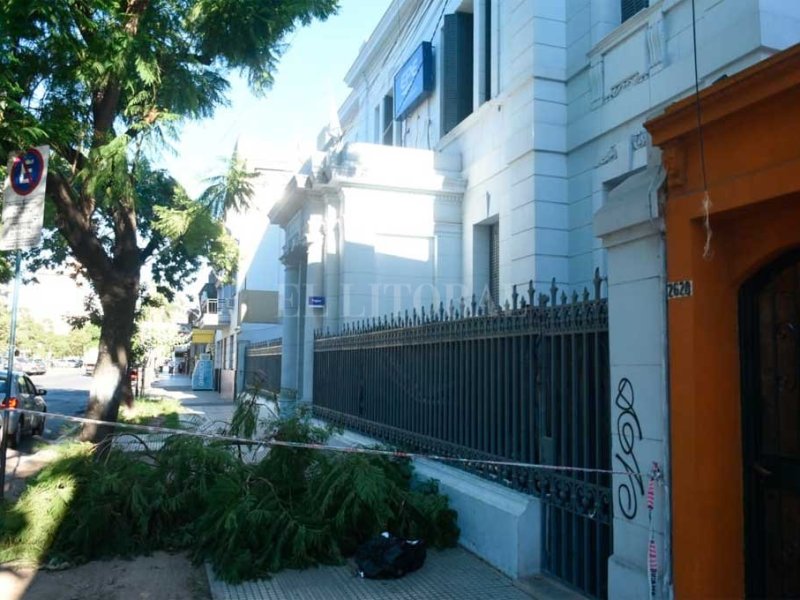 Se desprendió una rama y cayó sobre el cableado en la puerta de las oficinas de la EPE