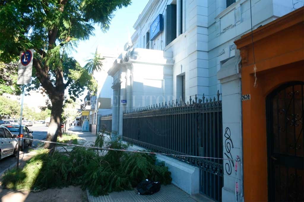 Se desprendió una rama y cayó sobre el cableado en la puerta de las oficinas de la EPE