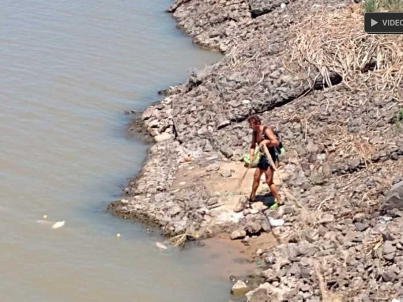 Momentos de tensión bajo el puente Oroño:  un ambientalista rescató peces de una malla