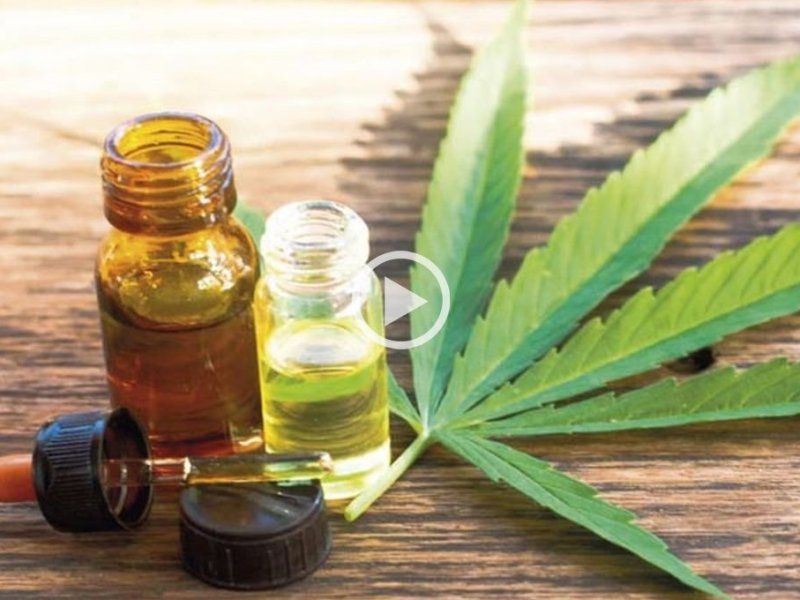 Macame pedirá a la Corte de la Nación la despenalización del cultivo de cannabis