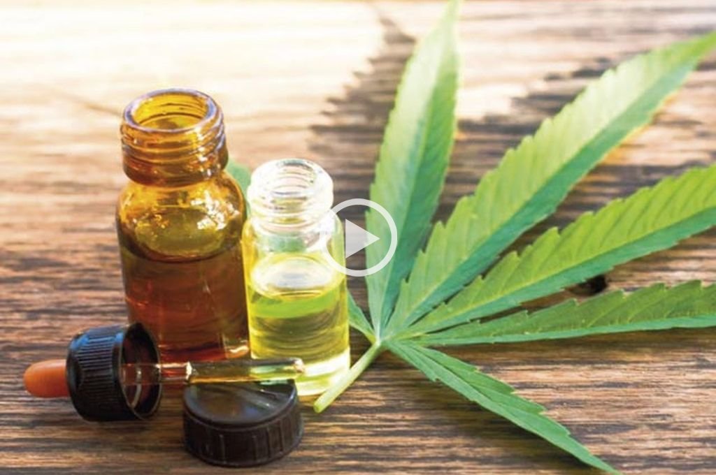 Macame pedirá a la Corte de la Nación la despenalización del cultivo de cannabis