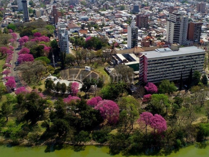 ¿Alcanzan los árboles de la ciudad de Santa Fe para atemperar los efectos del cambio climático?