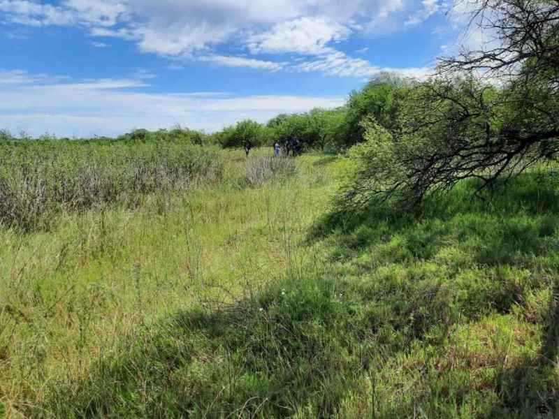 Hallaron un cadáver desnudo en un campo en el norte de la ciudad de Santa Fe
