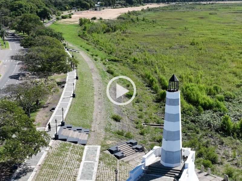 Una nueva vegetación se afianza como el paisaje de la Costanera Santafesina