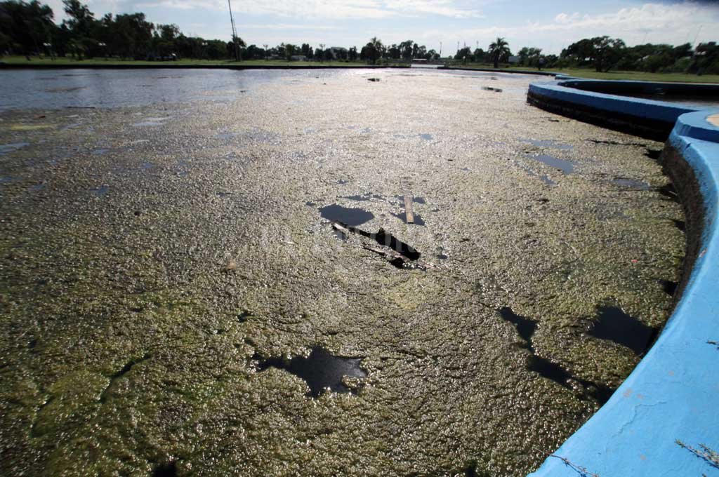 El misterio de las algas venenosas en el lago  del Parque Sur y un «adivinador de futuros»