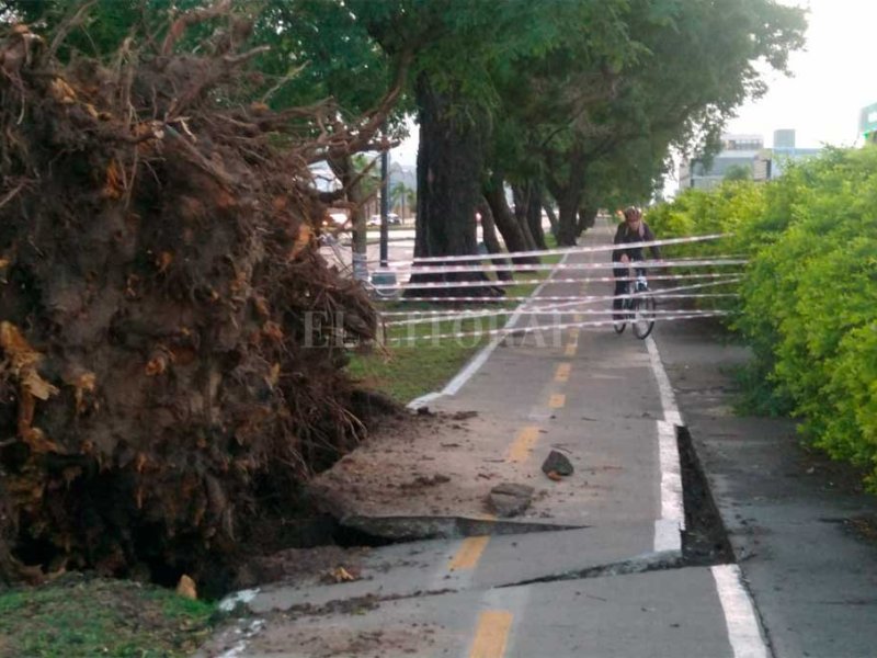 Fuerte tormenta golpeó a Santa Fe durante la madrugada