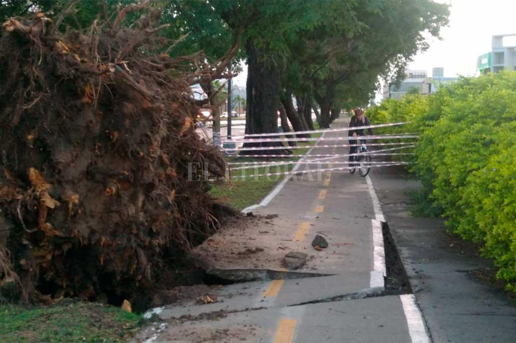 Fuerte tormenta golpeó a Santa Fe durante la madrugada