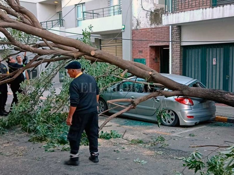 En imágenes: árboles y calles cortadas, las consecuencia de la tormenta en Santa Fe