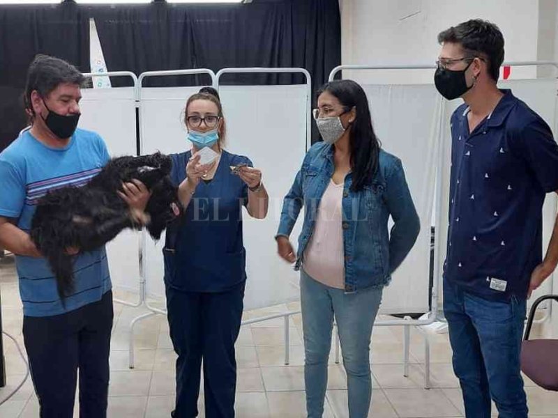 El Trébol récord: Se castraron casi 200 animales en sólo 2 meses