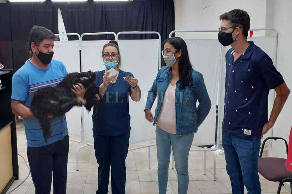 El Trébol récord: Se castraron casi 200 animales en sólo 2 meses