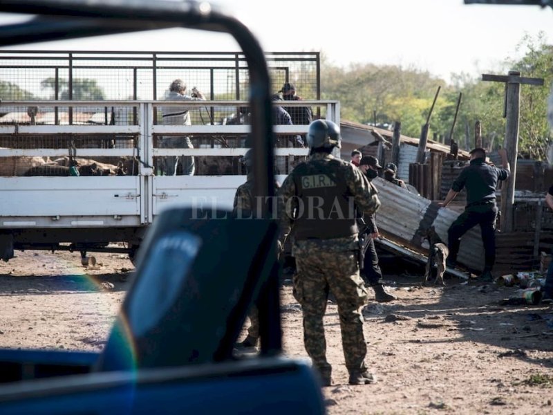 Rosario: este fue el destino de los animales maltratados por «El Viejo» Cantero