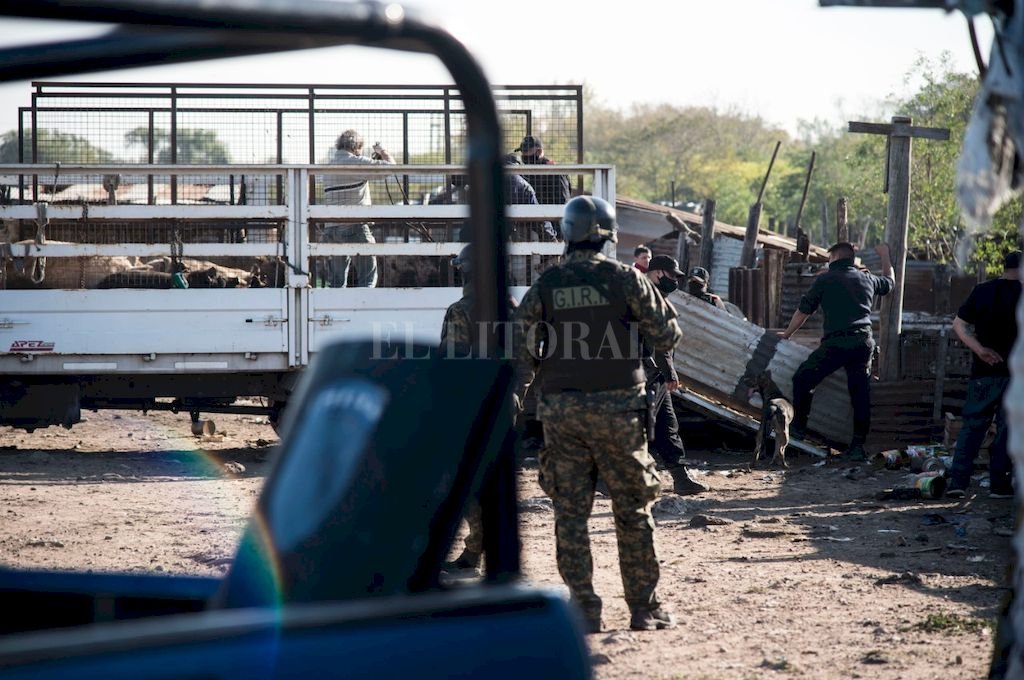 Rosario: este fue el destino de los animales maltratados por «El Viejo» Cantero
