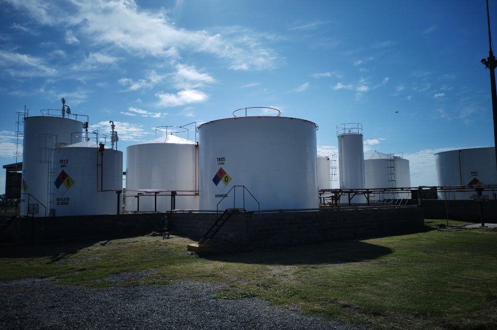 Cómo funciona el mercado del biodiesel