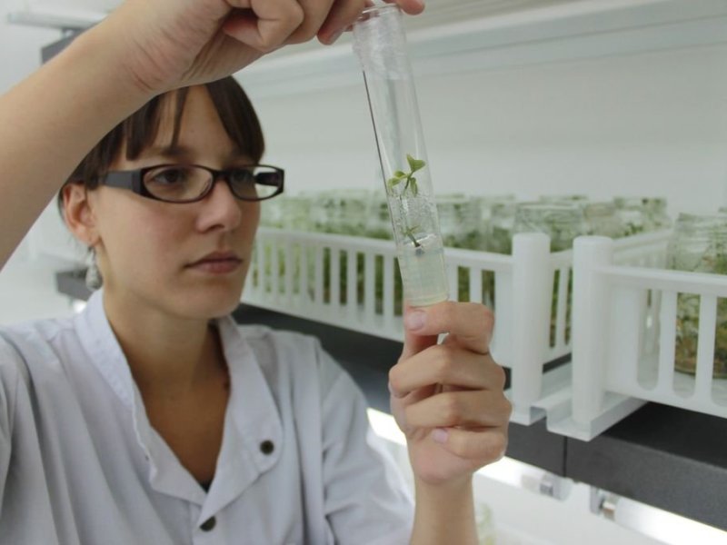 Ciencia y tecnología santafesina: un proceso que empieza a rendir frutos