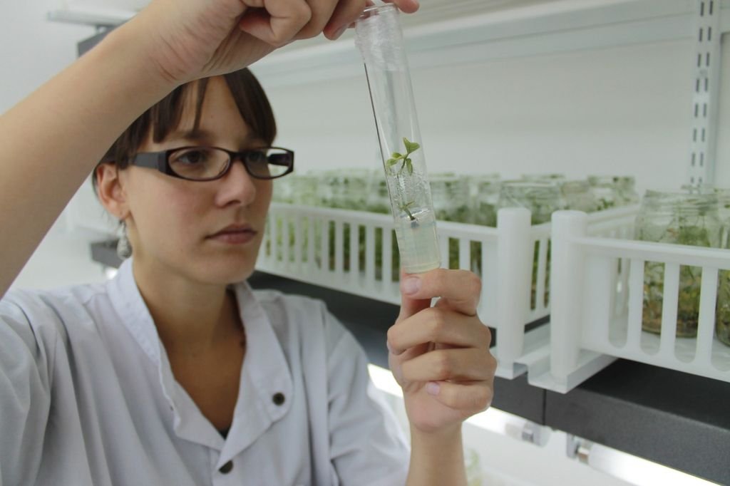 Ciencia y tecnología santafesina: un proceso que empieza a rendir frutos