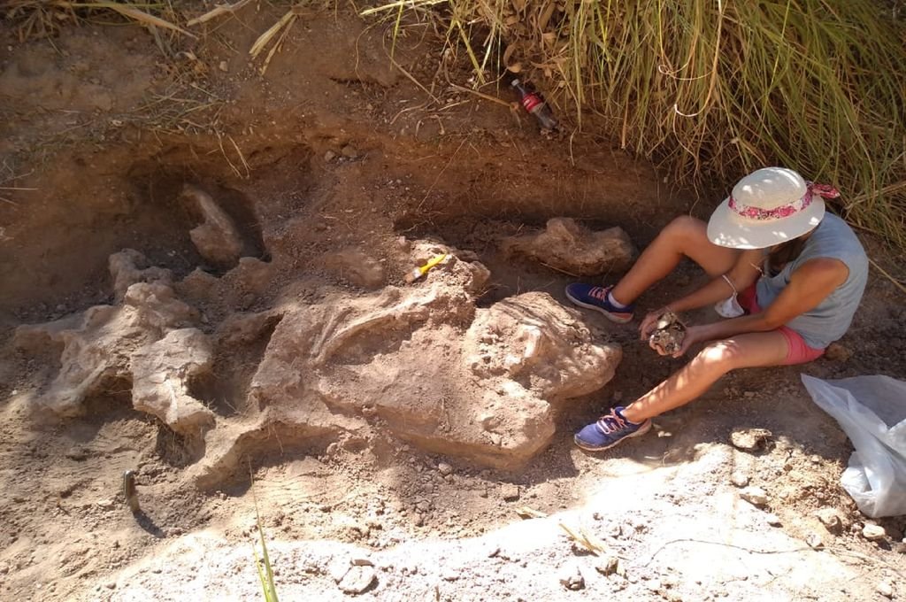 El Museo Serrano invita a un conversatorio sobre el hallazgo paleontológico en arroyo Espinillo