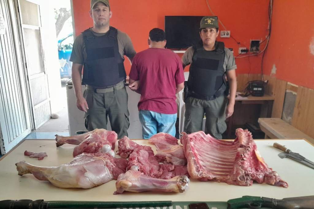 La policía secuestró en Coronda 170 kilos de carne y plantas de marihuana