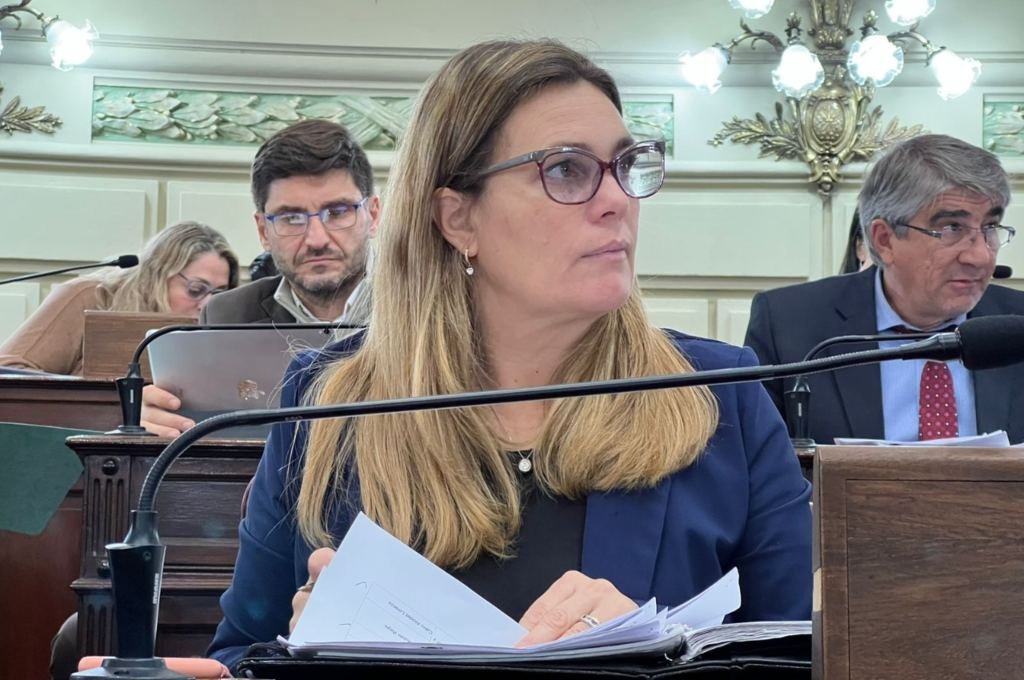 La diputada Di Stefano criticó el cambio en la forma de evaluación de los alumnos