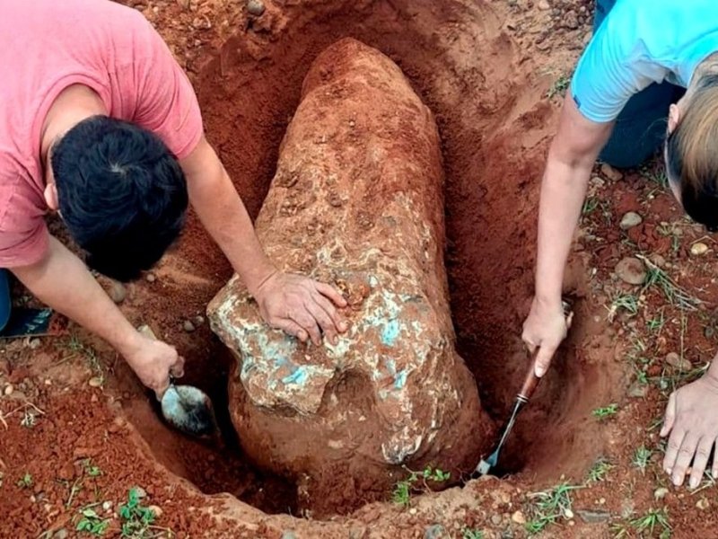 Encontraron enterrado en San Carlos un fósil de más de 80 mil años
