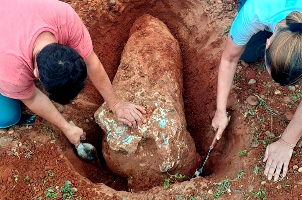 Encontraron enterrado en San Carlos un fósil de más de 80 mil años