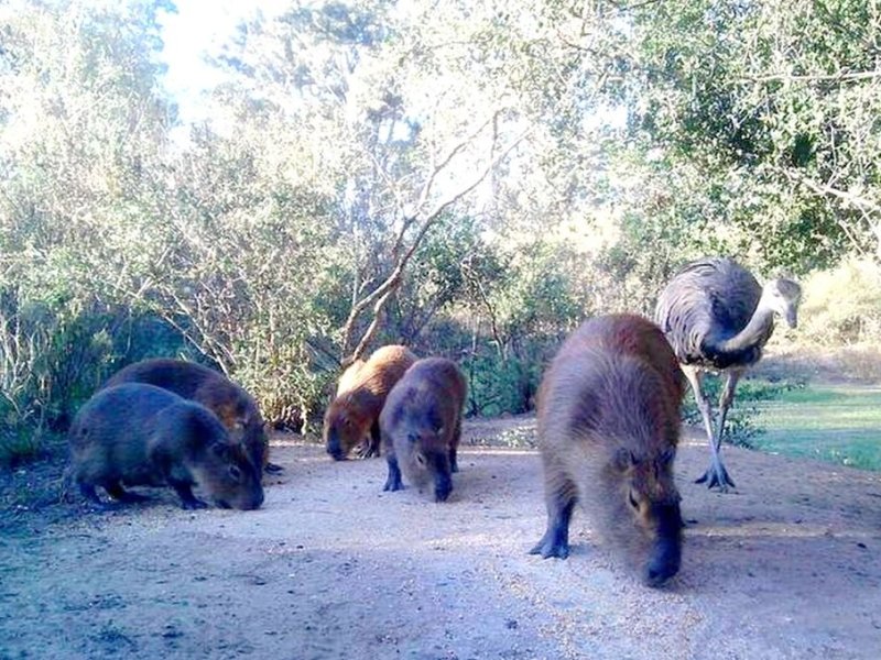 Elaboración del Plan de Manejo en la Reserva Natural La Chinita