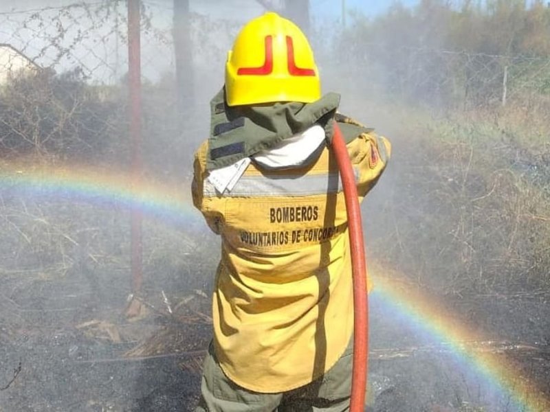 A la espera de un verano seco, en Concordia trabajan para evitar grandes incendios