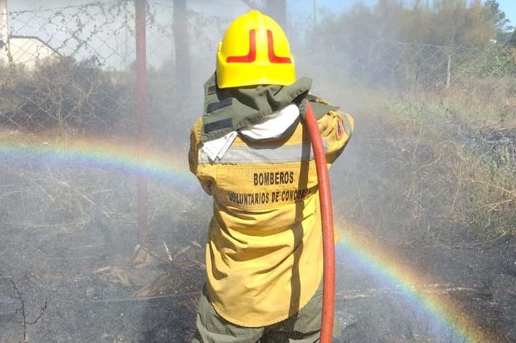 A la espera de un verano seco, en Concordia trabajan para evitar grandes incendios