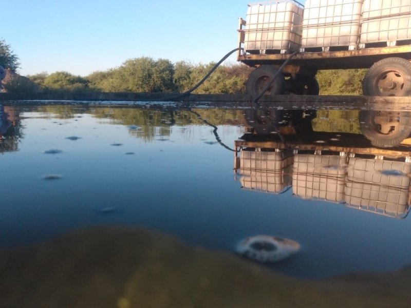 Sequía extrema: pequeños ganaderos acarrean agua en tanques o barriles para salvar su hacienda